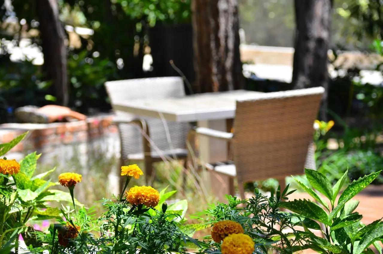 Peninsula Pine Club Boutique Hotel & Spa Kuşadası