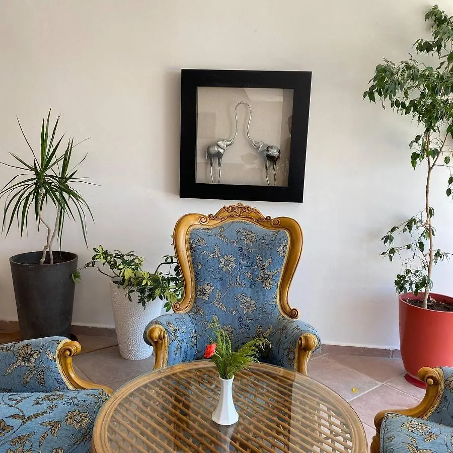 Apart Otel Peninsula Pine Club Boutique Hotel & Spa Kuşadası